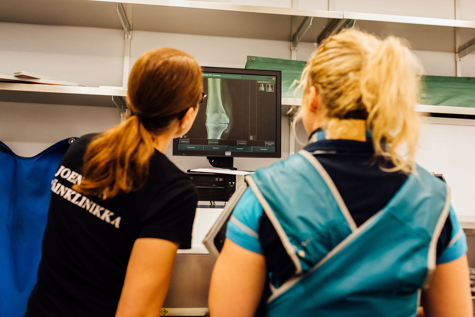 Eläinklinikan työntekijät tarkistavat röntgenkuvaa
